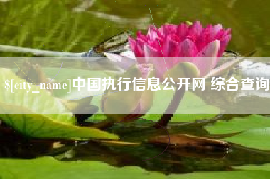 重庆中国执行信息公开网 综合查询