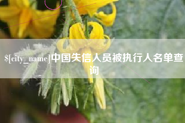 重庆中国失信人员被执行人名单查询