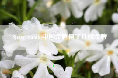 重庆中国金牌得了几枚金牌