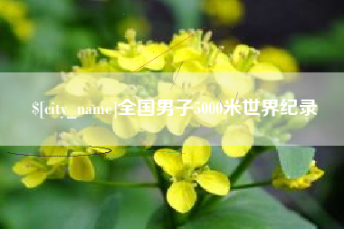 重庆全国男子5000米世界纪录