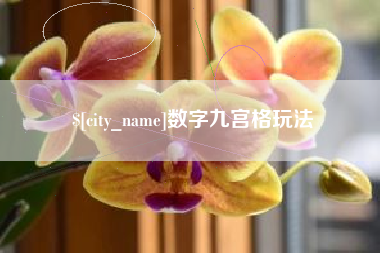 重庆数字九宫格玩法