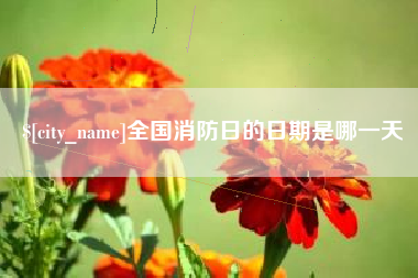 重庆全国消防日的日期是哪一天