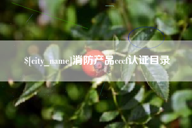 重庆消防产品cccf认证目录