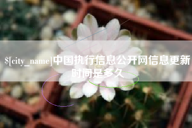重庆中国执行信息公开网信息更新时间是多久