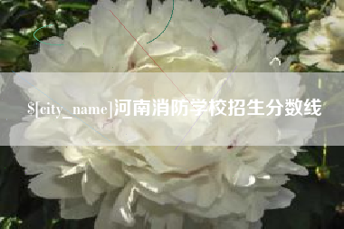 重庆河南消防学校招生分数线