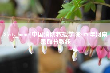 重庆中国消防救援学院2020年河南录取分数线
