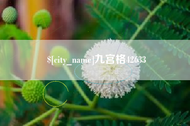 重庆九宫格42633