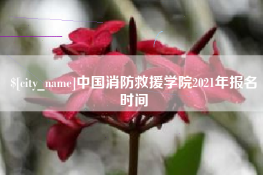 重庆中国消防救援学院2021年报名时间