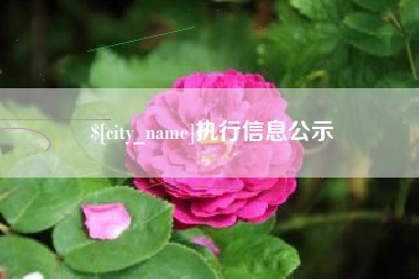 重庆执行信息公示