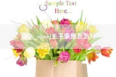 重庆王子豪是怎么写