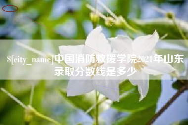 重庆中国消防救援学院2021年山东录取分数线是多少