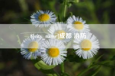 重庆成都 消防
