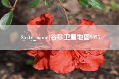 重庆谷歌卫星地图2025