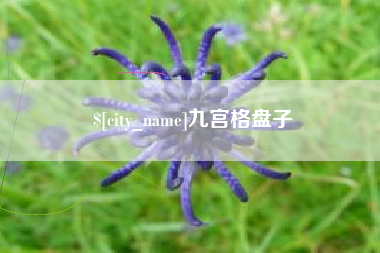 重庆九宫格盘子