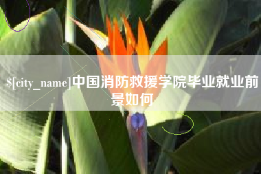 重庆中国消防救援学院毕业就业前景如何