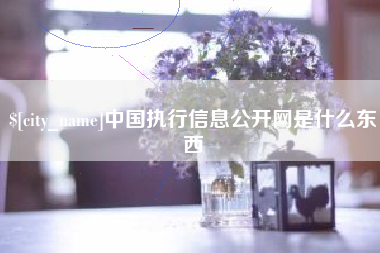 重庆中国执行信息公开网是什么东西