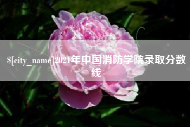重庆2021年中国消防学院录取分数线