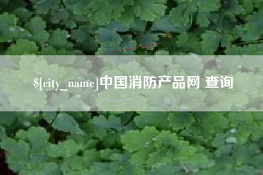 重庆中国消防产品网 查询