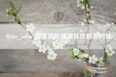 重庆国家消防救援队伍报名网址