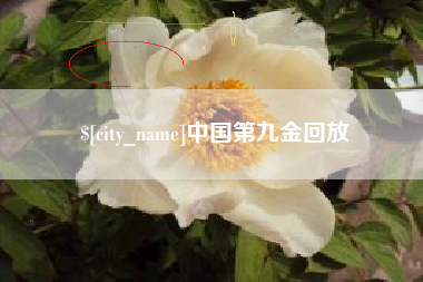 重庆中国第九金回放