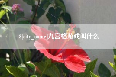 重庆九宫格游戏叫什么