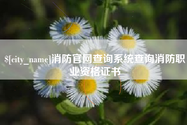 重庆消防官网查询系统查询消防职业资格证书