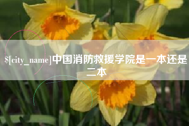 重庆中国消防救援学院是一本还是二本