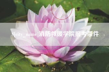 重庆消防救援学院报考条件