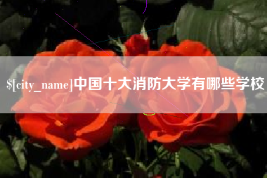 重庆中国十大消防大学有哪些学校