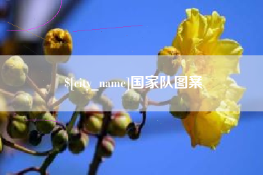 重庆国家队图案