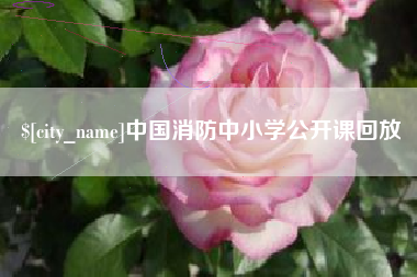 重庆中国消防中小学公开课回放