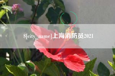 重庆上海消防员2021