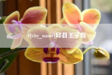 重庆邱县王子磊