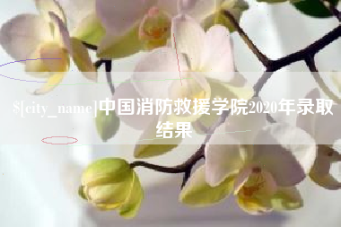 重庆中国消防救援学院2020年录取结果