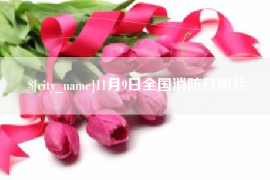 重庆11月9日全国消防日图片