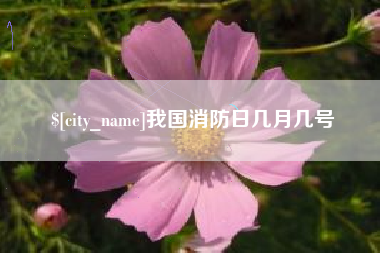 重庆我国消防日几月几号