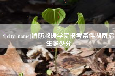 重庆消防救援学院报考条件湖南招生多少分