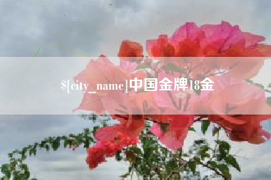 重庆中国金牌18金