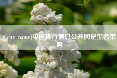 重庆中国执行信息公开网是黑名单吗