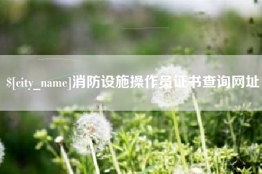 重庆消防设施操作员证书查询网址