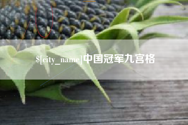 重庆中国冠军九宫格