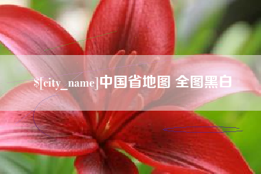 重庆中国省地图 全图黑白