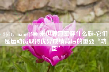 重庆5000米世界冠军穿什么鞋-它们是运动员取得优异成绩背后的重要“功臣”