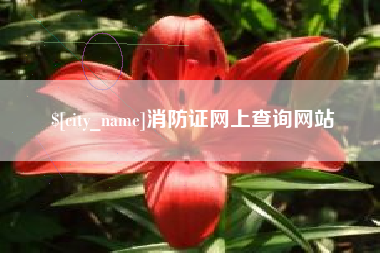 重庆消防证网上查询网站