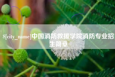 重庆中国消防救援学院消防专业招生简章