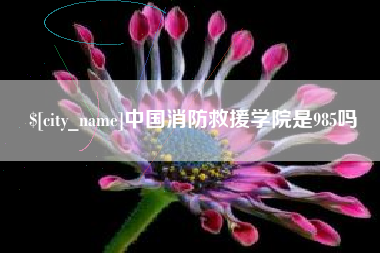 重庆中国消防救援学院是985吗
