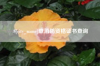 重庆查消防资格证书查询