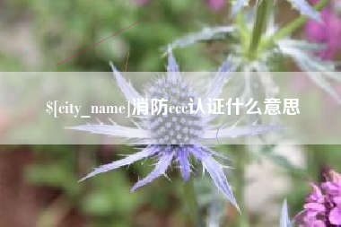 重庆消防ccc认证什么意思