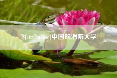 重庆中国的消防大学