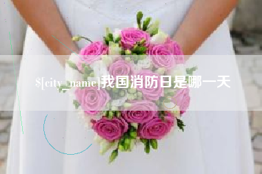 重庆我国消防日是哪一天